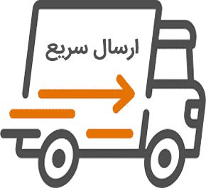 ارسال سریع